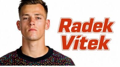 Radek Vítek