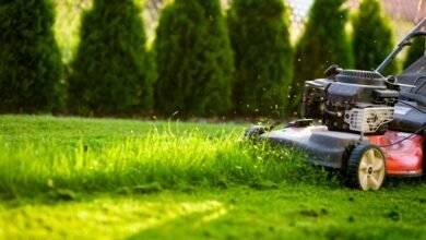 Lawn Care Services