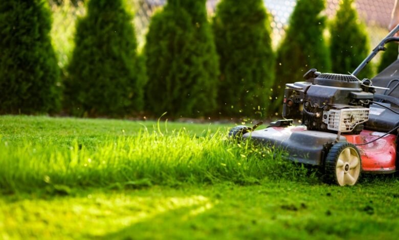 Lawn Care Services