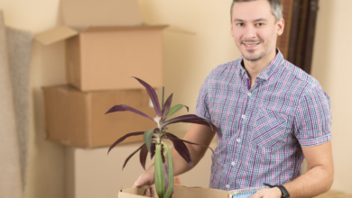 The Perfect Solution for a Smooth Relocation
