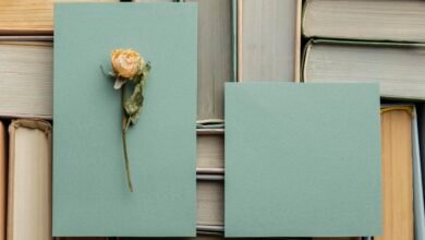 Book Boxes: Premium Packaging Solutions Inspired by Classic Book-Style Designs