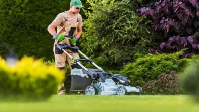 Lawn Care