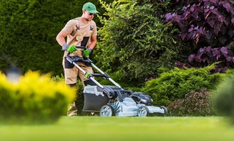 Lawn Care