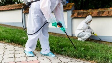Termite Control