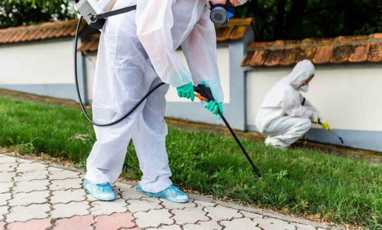 Termite Control