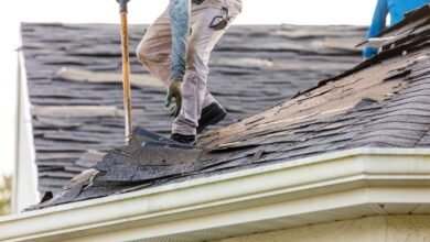 Damage Repair