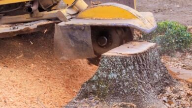 Stump Grinding