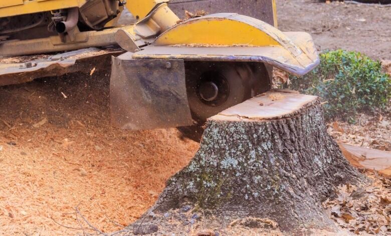 Stump Grinding