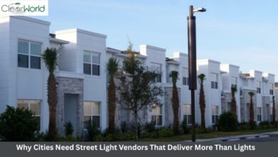 Why Cities Need Street Light Vendors That Deliver More Than Lights