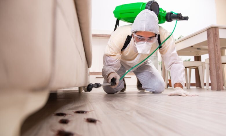 Pest Control