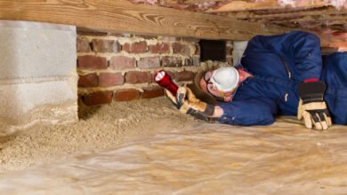 Crawl Spaces