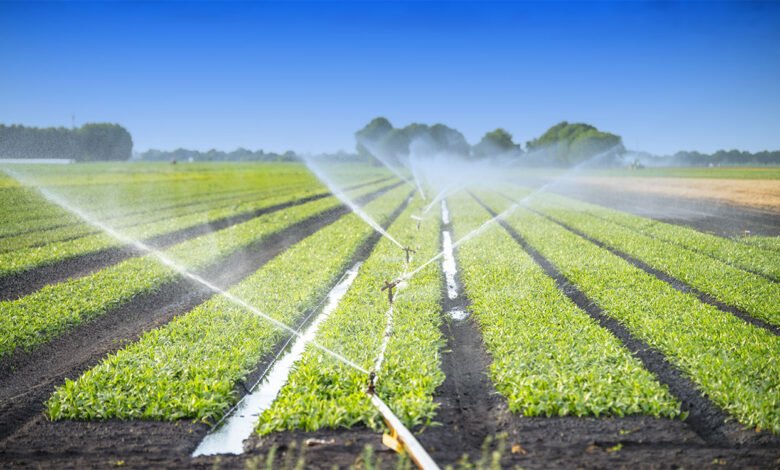 Irrigation Techniques