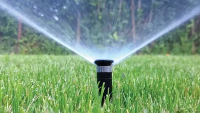 Home Maintenance