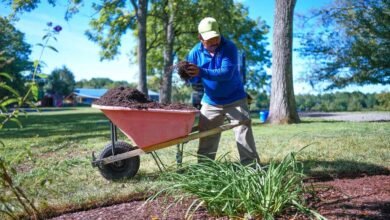 Landscape Maintenance