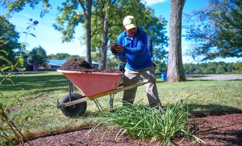 Landscape Maintenance