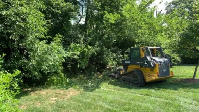 Brush Clearing