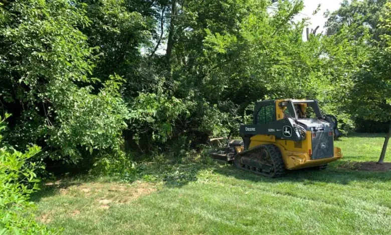 Brush Clearing