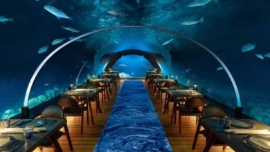Dining Under the Sea: The Best Underwater Restaurant Experience in Bangalore