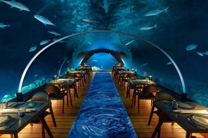 Dining Under the Sea: The Best Underwater Restaurant Experience in Bangalore