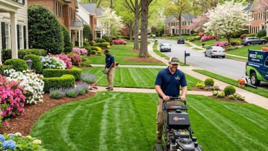 Atlanta Lawns