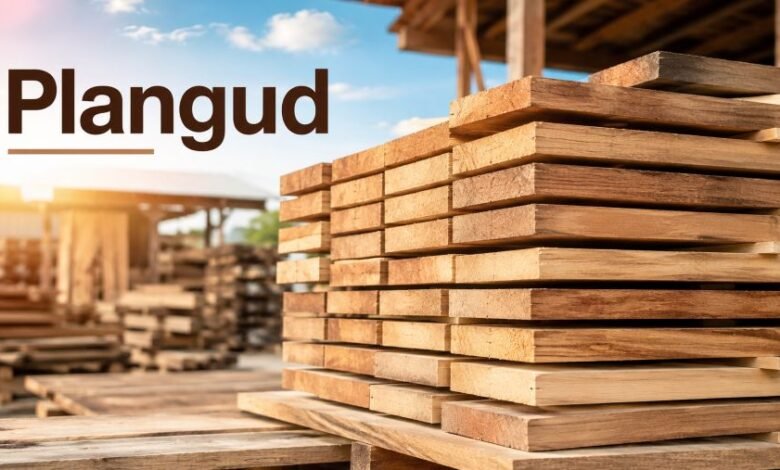 Plangud