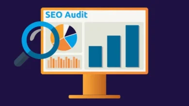 Website Search